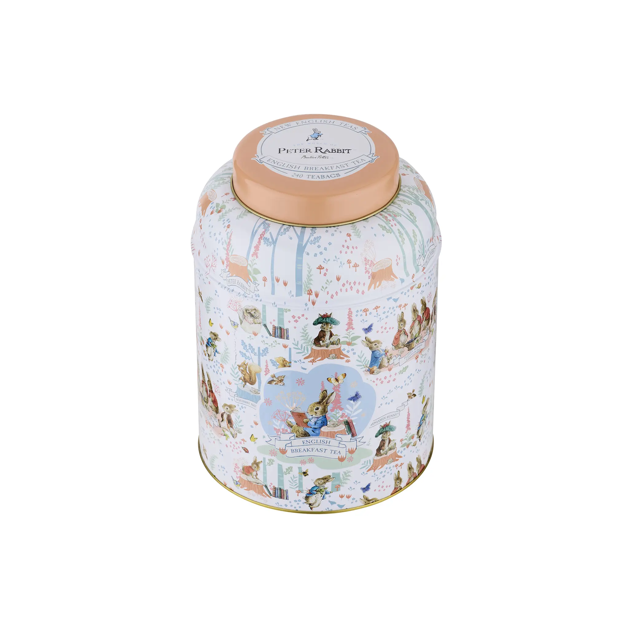 Beatrix Potter Deluxe Tea Caddy - Image 4