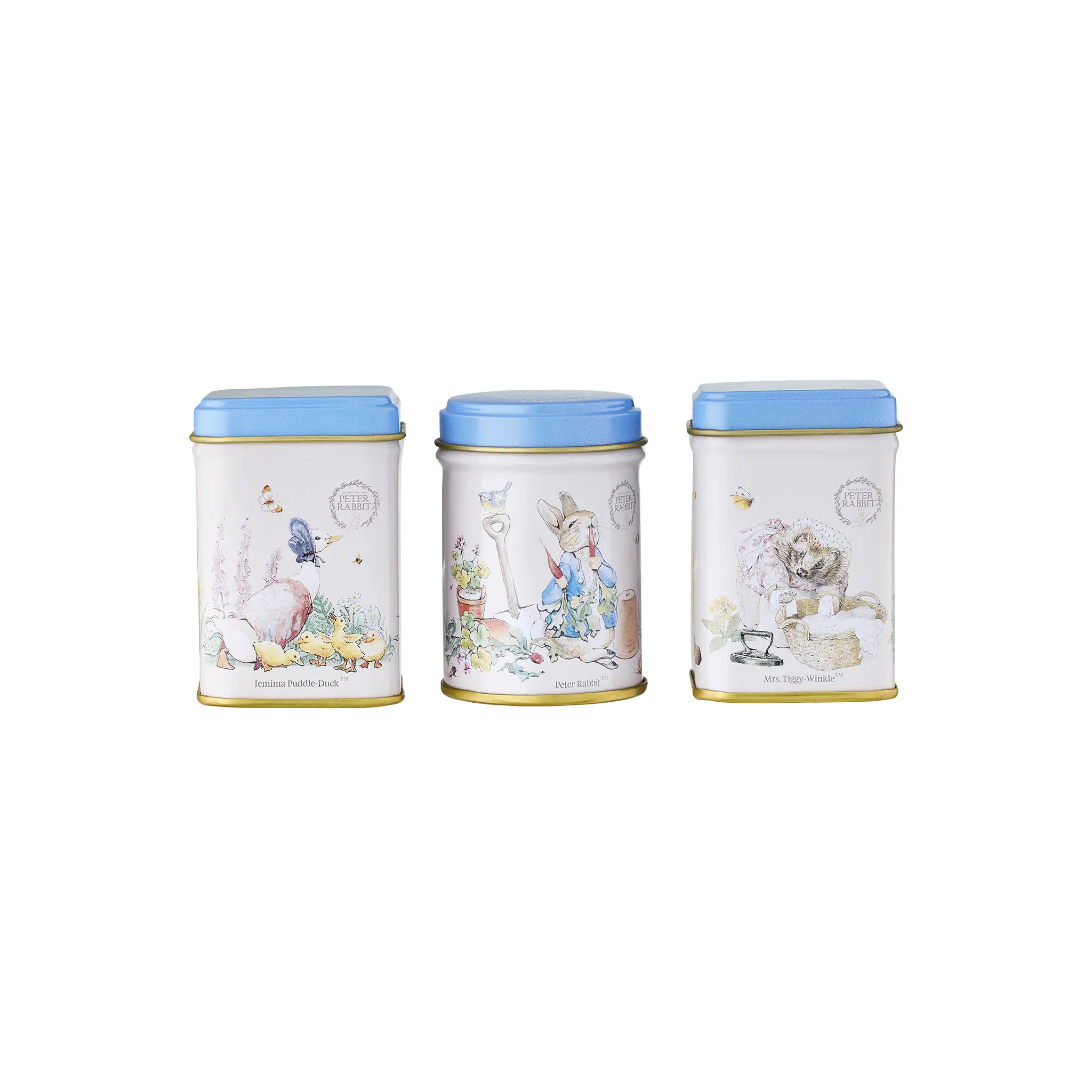 Mini Tea Tin & Infuser Gift Set - Image 6